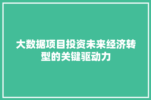 大数据项目投资未来经济转型的关键驱动力