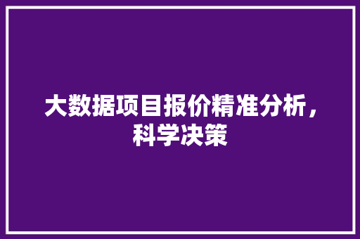 大数据项目报价精准分析，科学决策