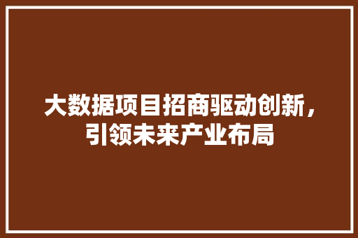 大数据项目招商驱动创新，引领未来产业布局