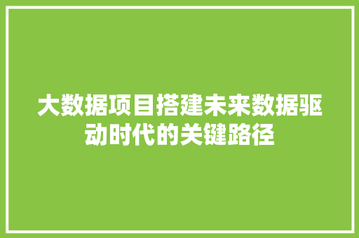 大数据项目搭建未来数据驱动时代的关键路径
