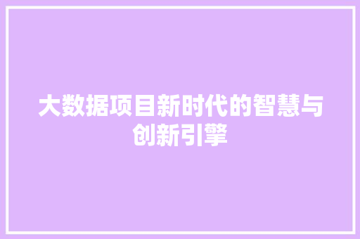 大数据项目新时代的智慧与创新引擎