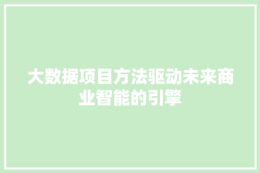 大数据项目方法驱动未来商业智能的引擎