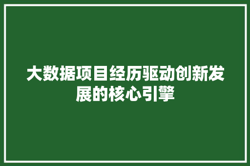 大数据项目经历驱动创新发展的核心引擎
