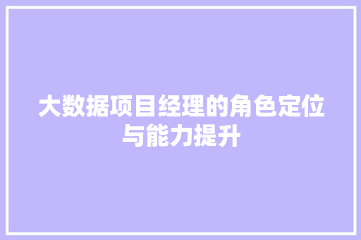 大数据项目经理的角色定位与能力提升