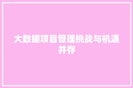 大数据项目管理挑战与机遇并存