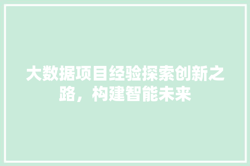 大数据项目经验探索创新之路，构建智能未来