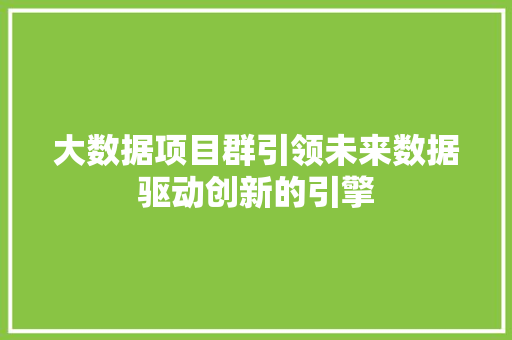 大数据项目群引领未来数据驱动创新的引擎