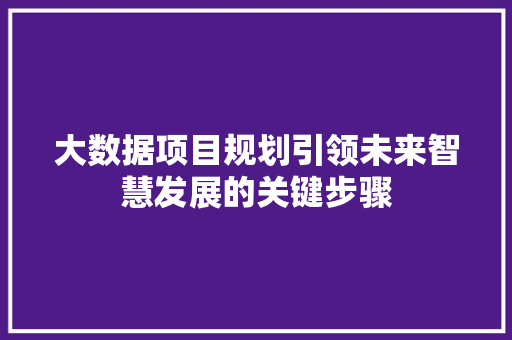 大数据项目规划引领未来智慧发展的关键步骤