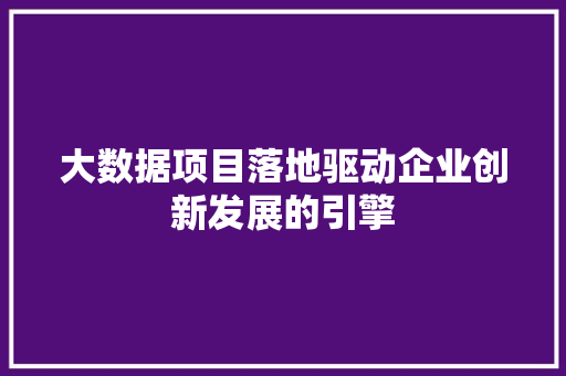 大数据项目落地驱动企业创新发展的引擎
