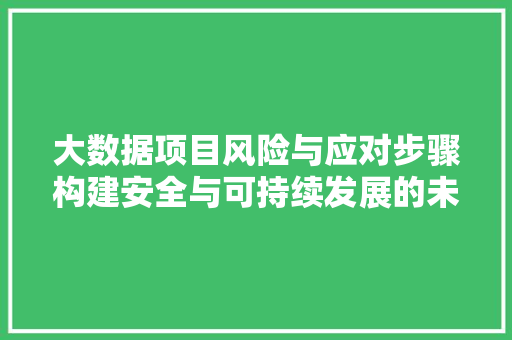 大数据项目风险与应对步骤构建安全与可持续发展的未来