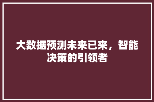 大数据预测未来已来，智能决策的引领者