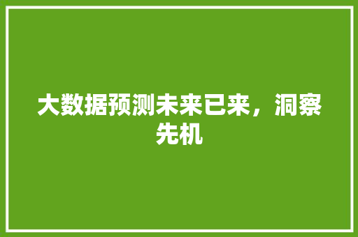 大数据预测未来已来，洞察先机