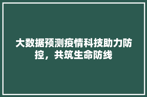 大数据预测疫情科技助力防控，共筑生命防线