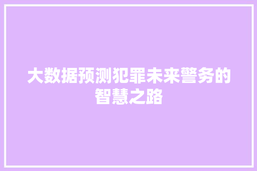 大数据预测犯罪未来警务的智慧之路