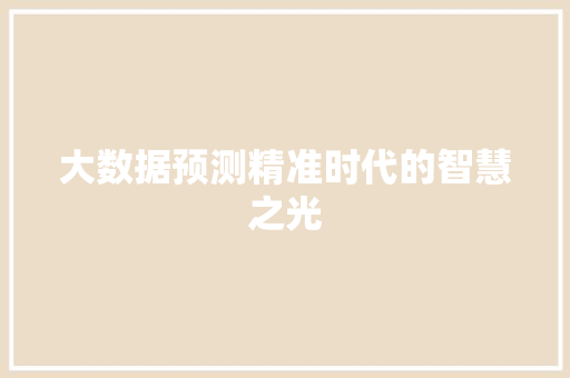大数据预测精准时代的智慧之光