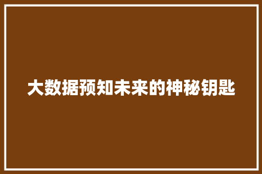 大数据预知未来的神秘钥匙