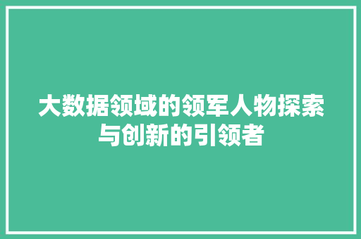 大数据领域的领军人物探索与创新的引领者