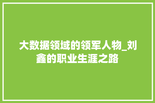 大数据领域的领军人物_刘鑫的职业生涯之路