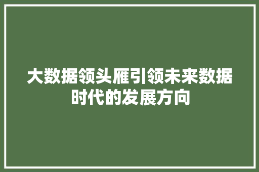 大数据领头雁引领未来数据时代的发展方向
