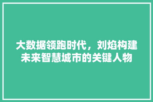 大数据领跑时代，刘焰构建未来智慧城市的关键人物