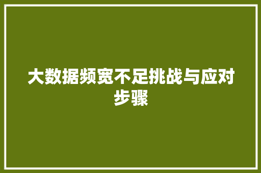 大数据频宽不足挑战与应对步骤