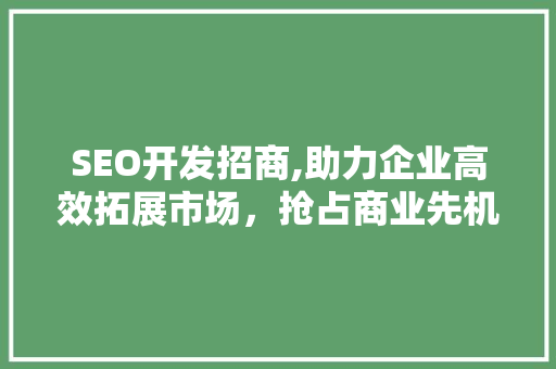SEO开发招商,助力企业高效拓展市场，抢占商业先机 项目报告