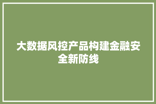 大数据风控产品构建金融安全新防线