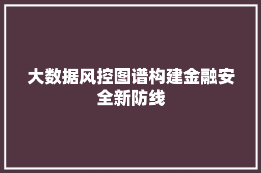 大数据风控图谱构建金融安全新防线