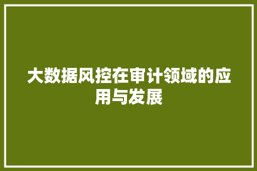 大数据风控在审计领域的应用与发展