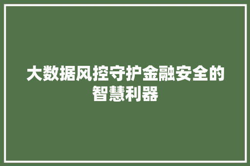 大数据风控守护金融安全的智慧利器
