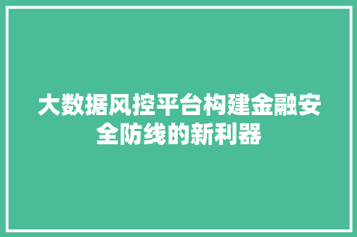 大数据风控平台构建金融安全防线的新利器