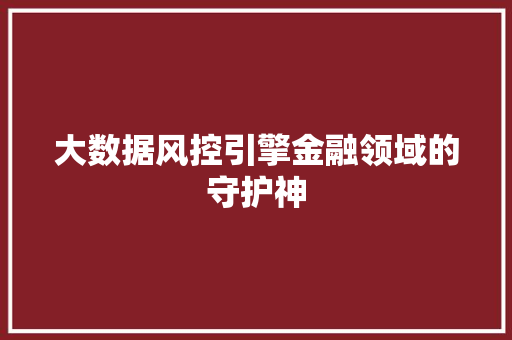 大数据风控引擎金融领域的守护神