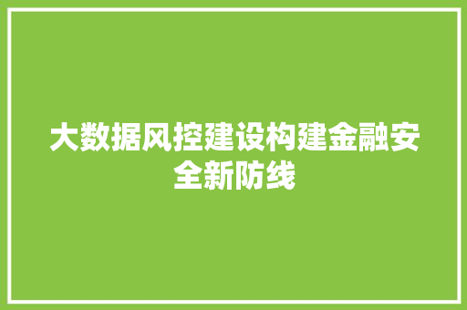 大数据风控建设构建金融安全新防线
