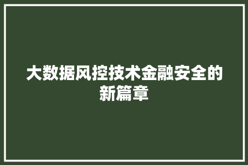 大数据风控技术金融安全的新篇章