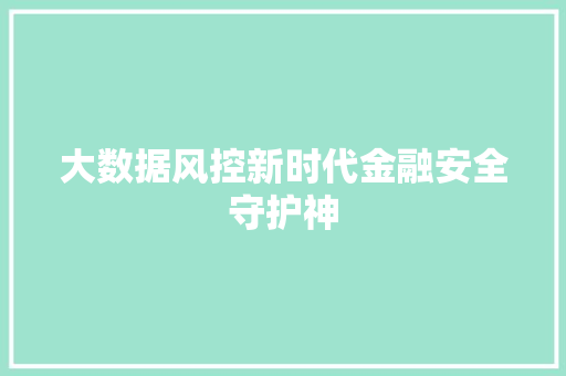 大数据风控新时代金融安全守护神