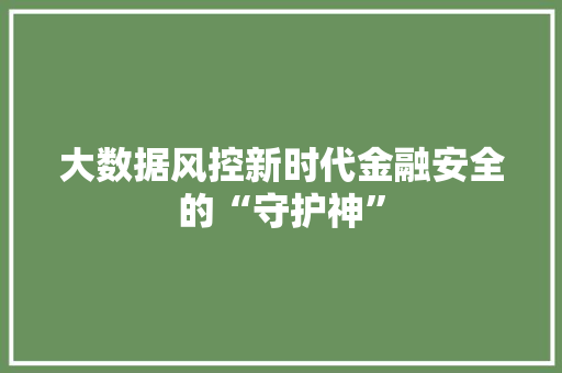 大数据风控新时代金融安全的“守护神”