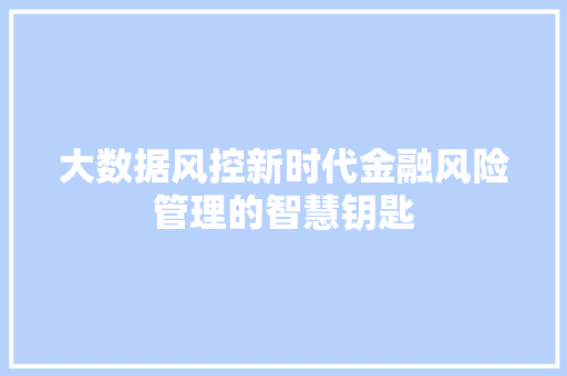 大数据风控新时代金融风险管理的智慧钥匙