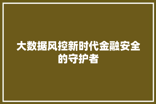 大数据风控新时代金融安全的守护者
