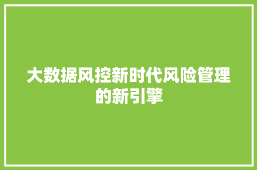 大数据风控新时代风险管理的新引擎