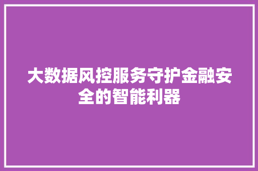 大数据风控服务守护金融安全的智能利器