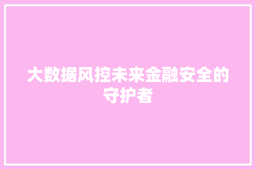 大数据风控未来金融安全的守护者