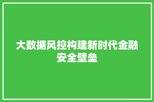 大数据风控构建新时代金融安全壁垒