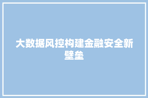 大数据风控构建金融安全新壁垒