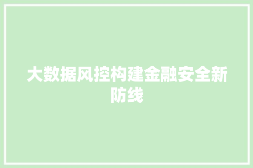 大数据风控构建金融安全新防线