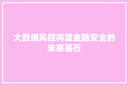 大数据风控构建金融安全的未来基石