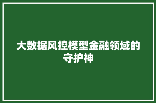 大数据风控模型金融领域的守护神