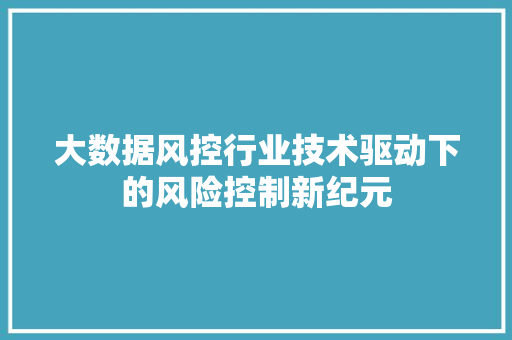大数据风控行业技术驱动下的风险控制新纪元