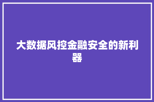 大数据风控金融安全的新利器