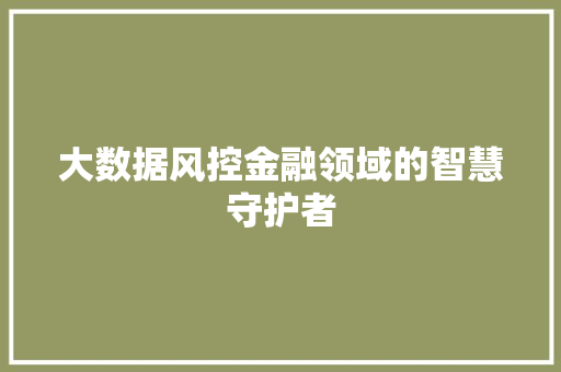 大数据风控金融领域的智慧守护者