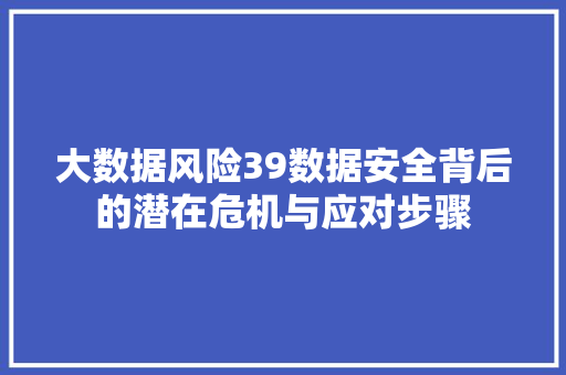 大数据风险39数据安全背后的潜在危机与应对步骤